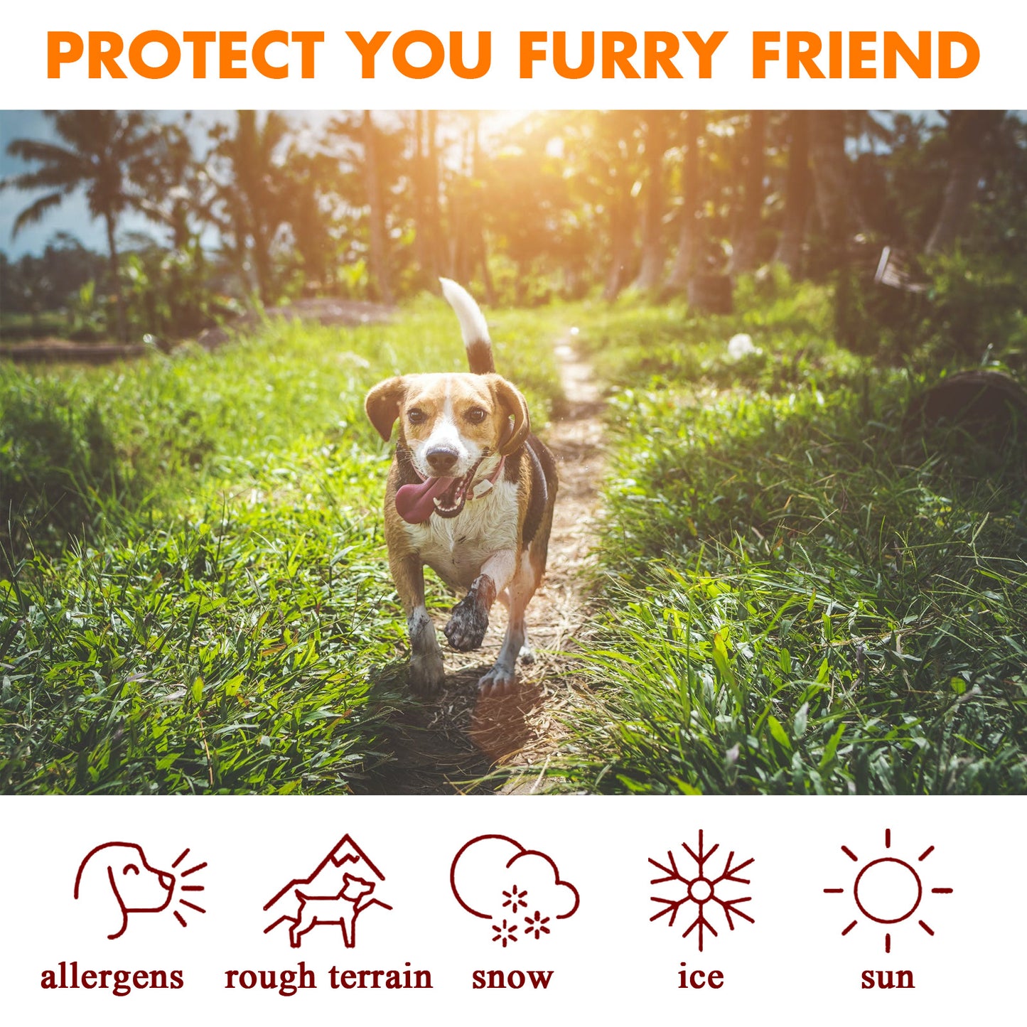 Crème de soin pour coussinets d'animaux – Huile protectrice pour coussinets 🐾