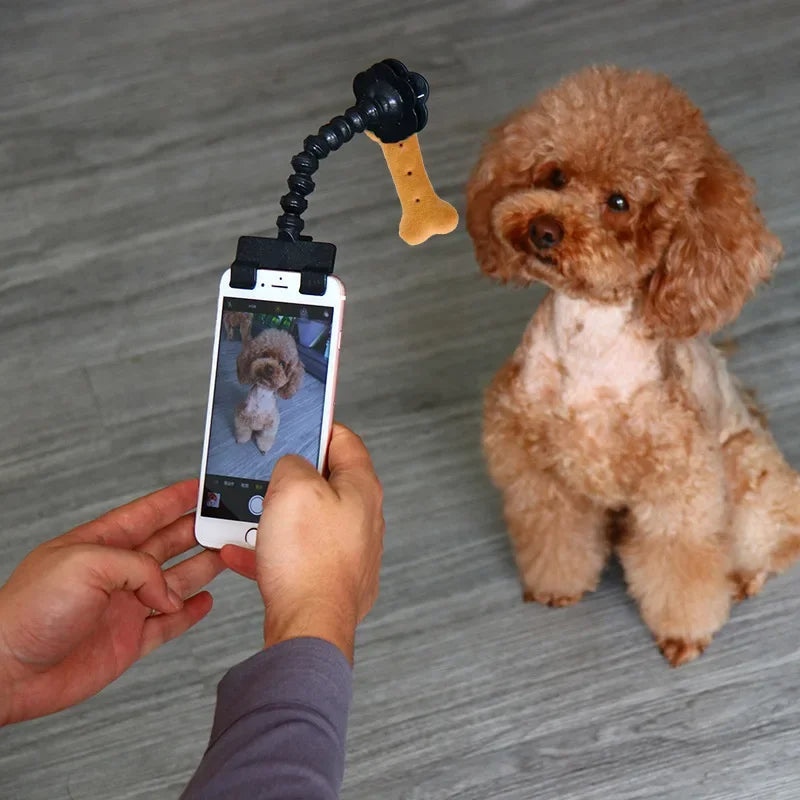 Dog Selfie Camera Treat Clip