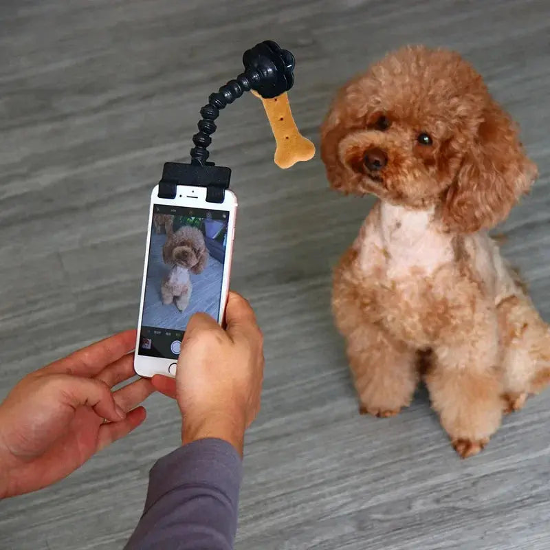 Dog Selfie Camera Treat Clip FURRYKU