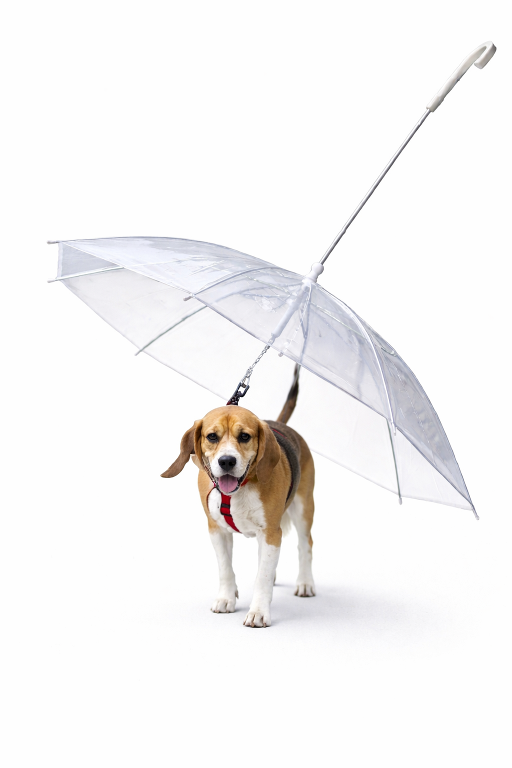 Transparent Umbrella Leash