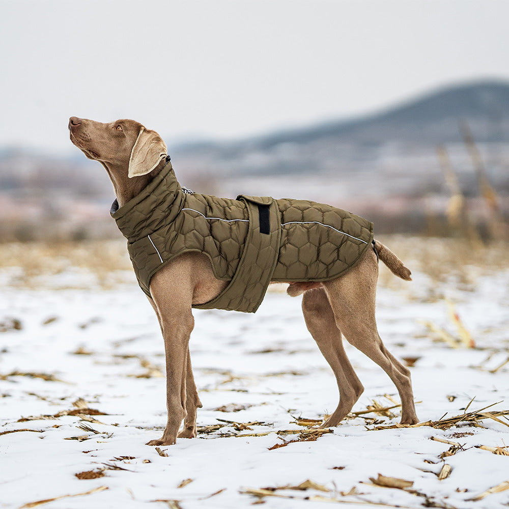 Winter Thickened Dog Jacket for Cold Weather