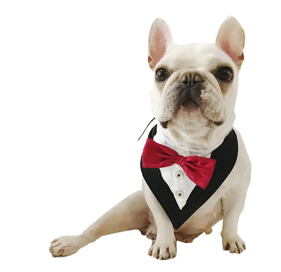 Classic Bow Tie Dog Collar - Instant Style Your Dog Doesn’t Even Notice, But You Do FURRYKU