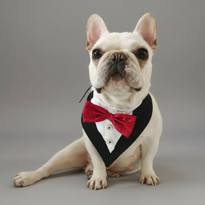 Classic Bow Tie Dog Collar - Instant Style Your Dog Doesn’t Even Notice, But You Do FURRYKU