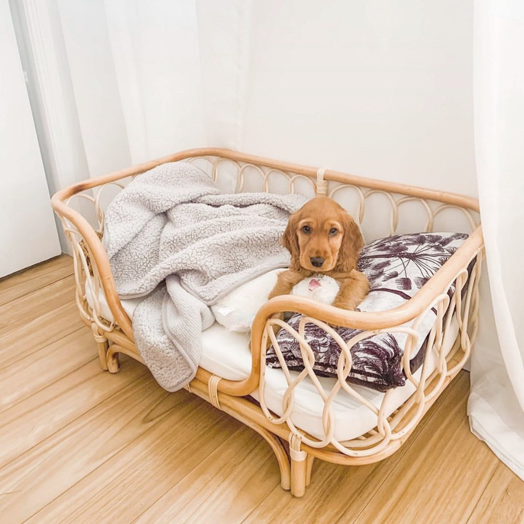 Pet Bed Handmade Rattan Woven Pet Bed Sofa For Dogs 🐾