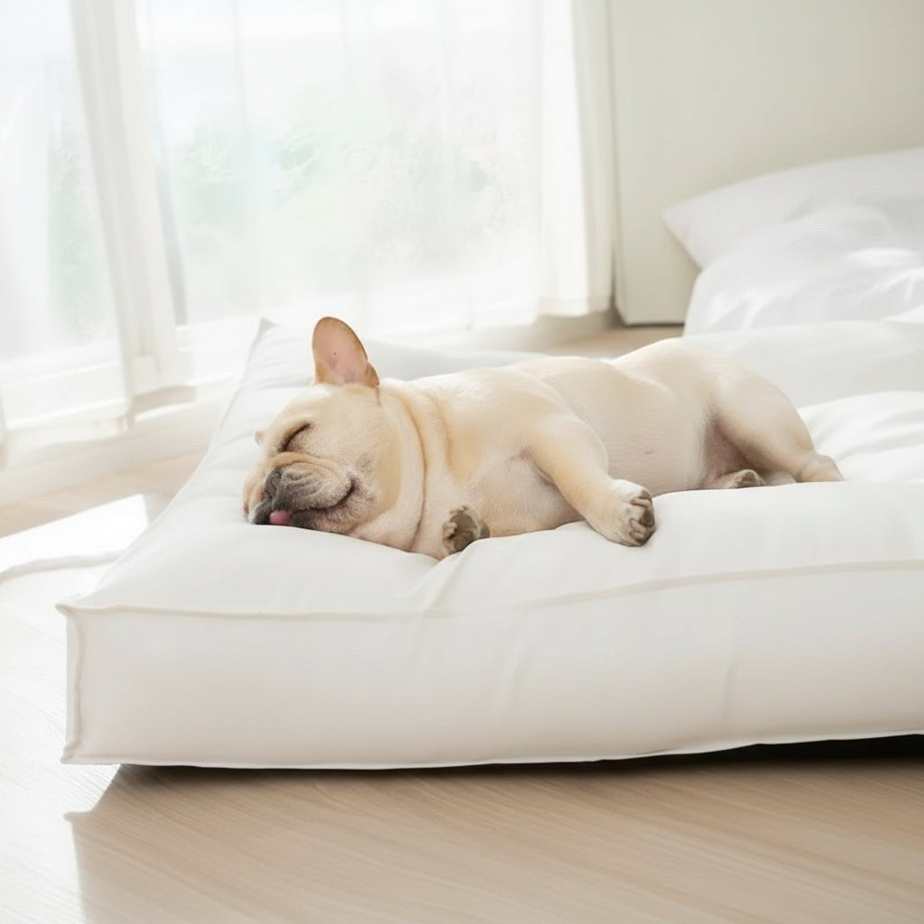 Waterproof Memory Foam Sleeping Mat for Dogs FURRYKU