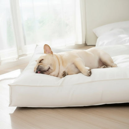 Waterproof Memory Foam Sleeping Mat for Dogs FURRYKU