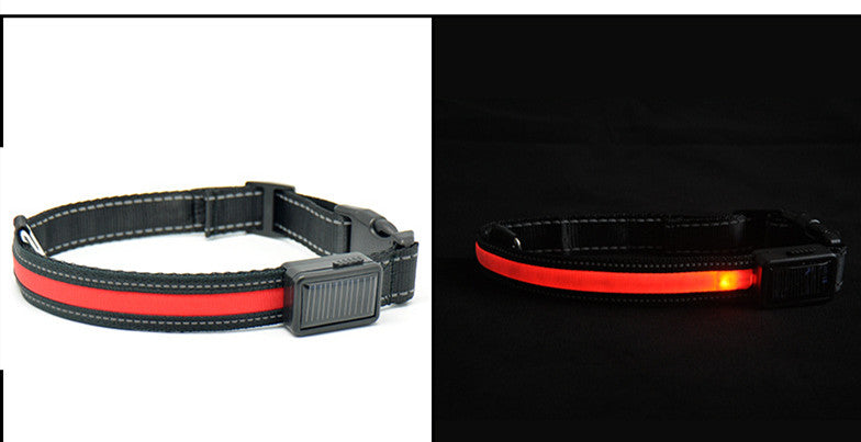LED Solar Luminous Dog Collar – USB Rechargeable Safety Collar🐾