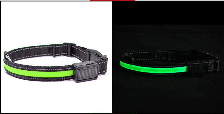 LED Solar Luminous Dog Collar – USB Rechargeable Safety Collar🐾