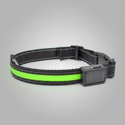 LED Solar Luminous Dog Collar – USB Rechargeable Safety Collar