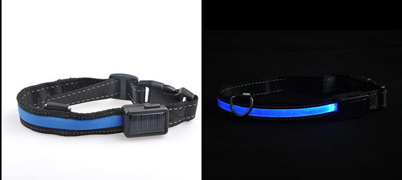 LED Solar Luminous Dog Collar – USB Rechargeable Safety Collar🐾