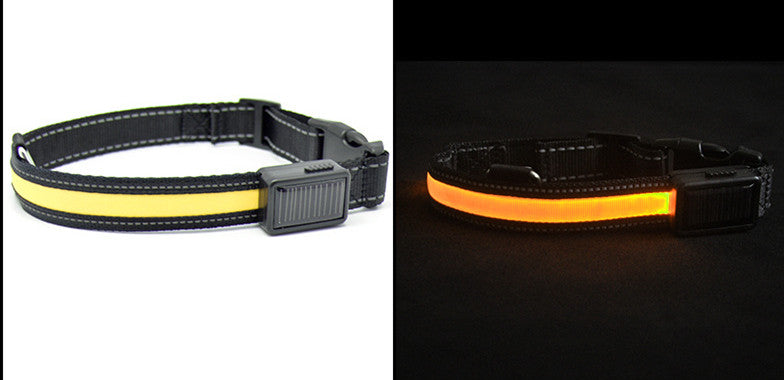 LED Solar Luminous Dog Collar – USB Rechargeable Safety Collar🐾