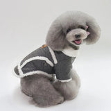 Winter Velvet Dog Jacket