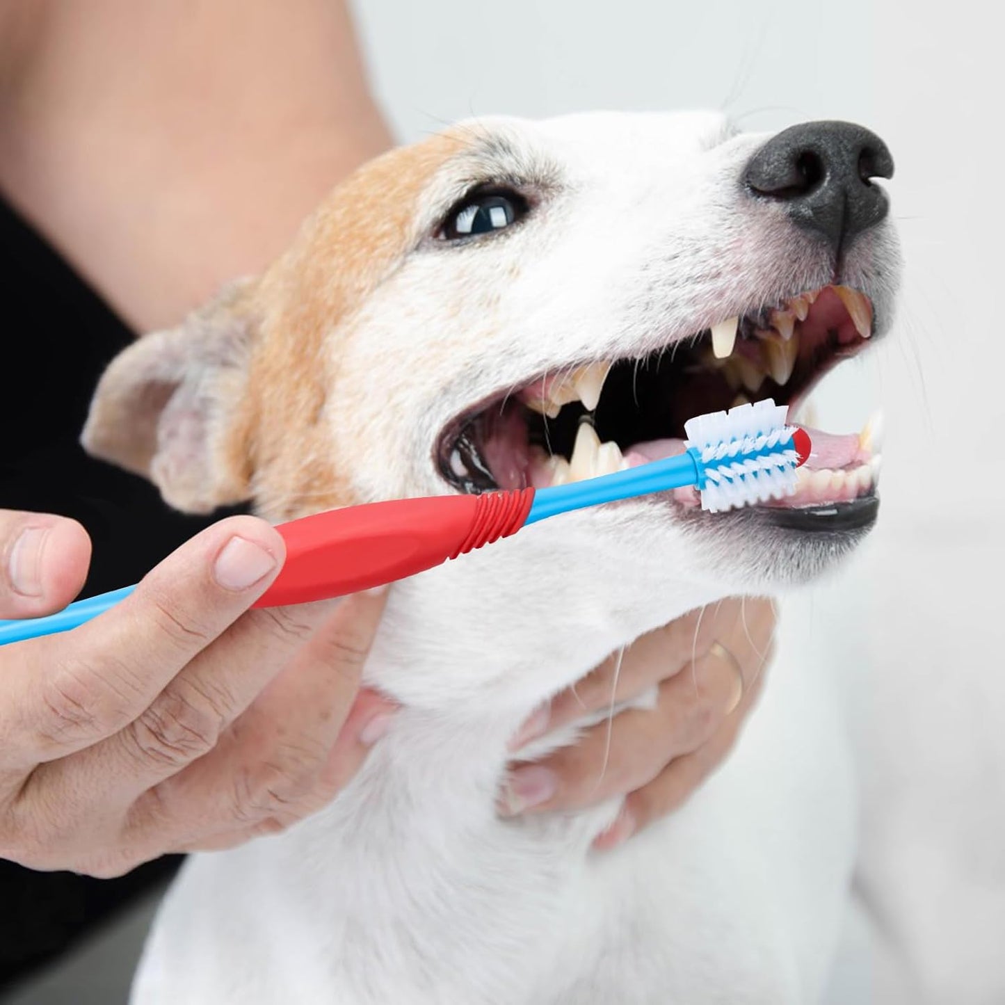 Dog Toothbrush 360° – Dual-Head Pet Tooth Brushing Kit for Dogs 🐾