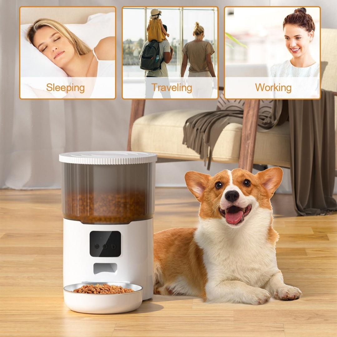 Smart Dog Automatic Pet Feeder – Programmable Feeding for Pets 🐾