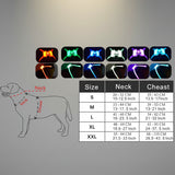 LED Luminous Dog Harness – Anti-Lost & Anti-Car Accident Safety Vest
