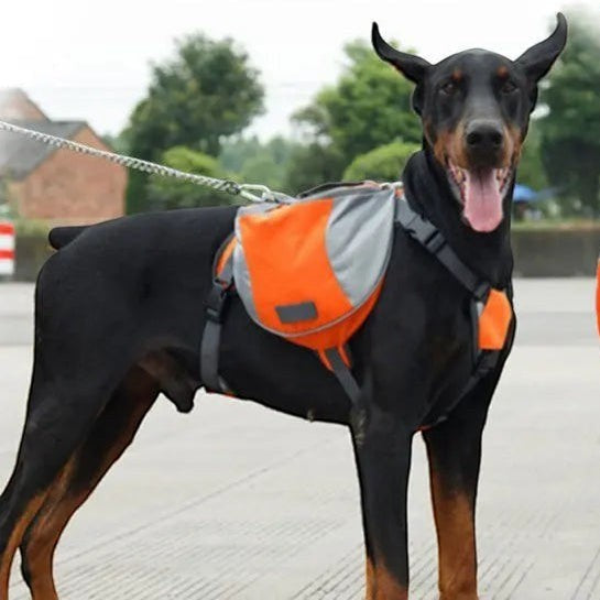 Dog Hiking Pack – Adjustable Outdoor Backpack FURRYKU