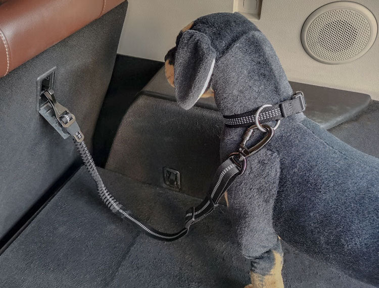 Reflective Retractable Dog Car Seat Belt – Elastic Adjustable Safety Harness 🐾