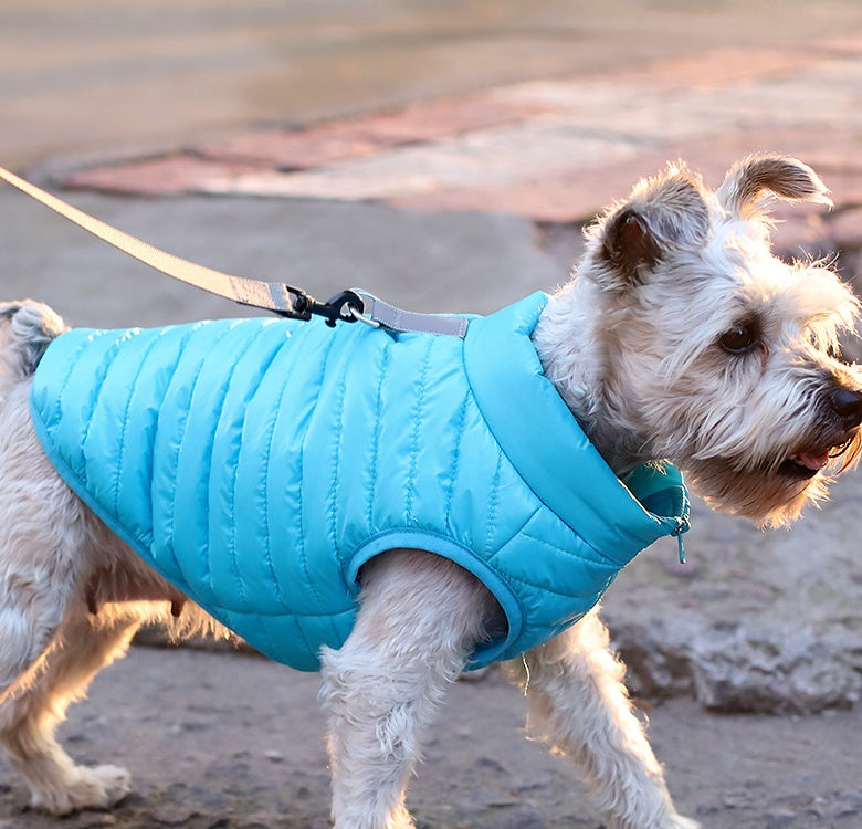 Neue Hundebekleidung – Herbst- und Winterjacke aus Nylon mit Reißverschluss für Welpen 🐾