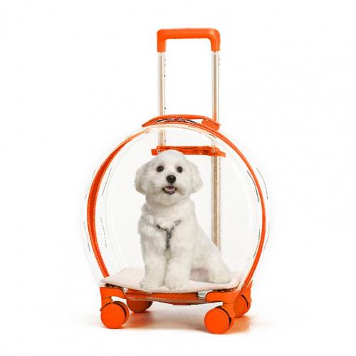 Transparent Poop Pet Dog Trolley Box – Fashion Minimalist Design 🐾