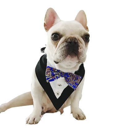 Classic Bow Tie Dog Collar - Instant Style Your Dog Doesn’t Even Notice, But You Do FURRYKU