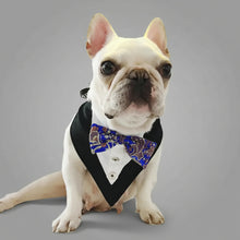 Classic Bow Tie Dog Collar