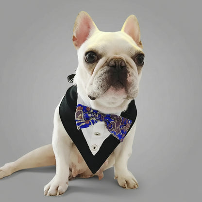 Classic Bow Tie Dog Collar - Instant Style Your Dog Doesn’t Even Notice, But You Do FURRYKU