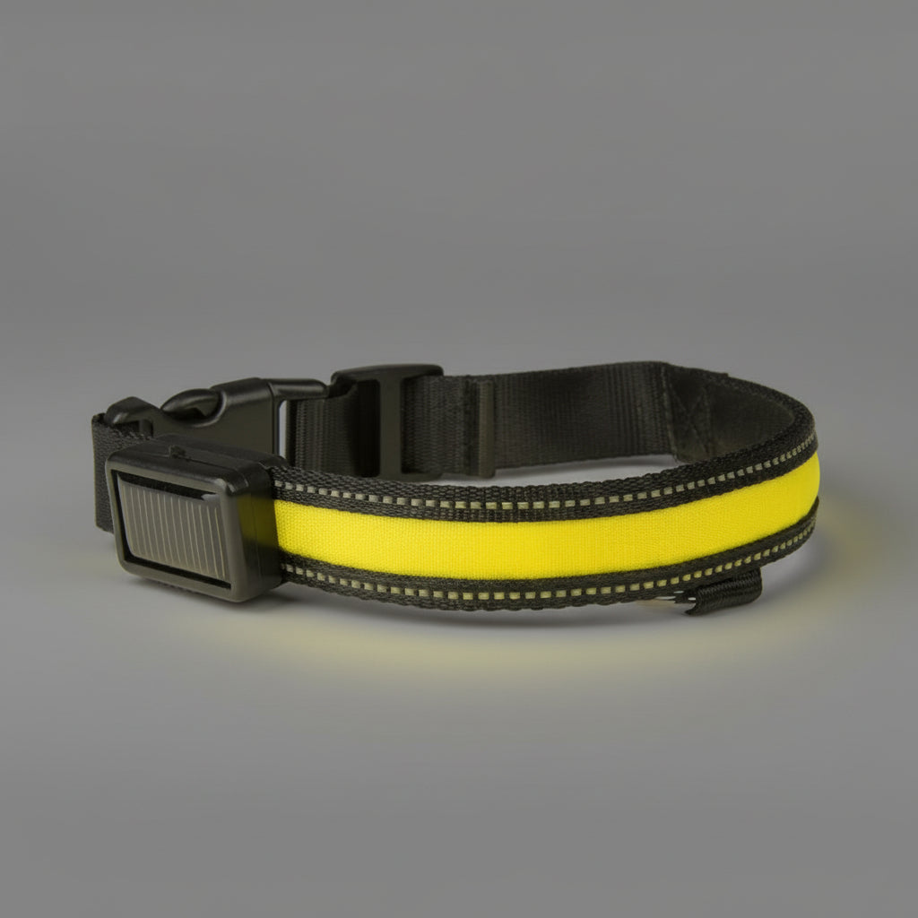 LED Solar Luminous Dog Collar – USB Rechargeable Safety Collar FURRYKU