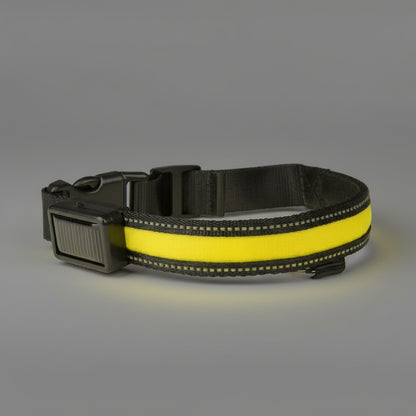 LED Solar Luminous Dog Collar – USB Rechargeable Safety Collar FURRYKU