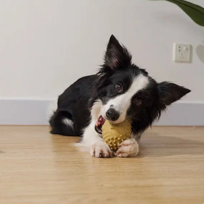 Retro Mask Squeaky Dog Toy FURRYKU