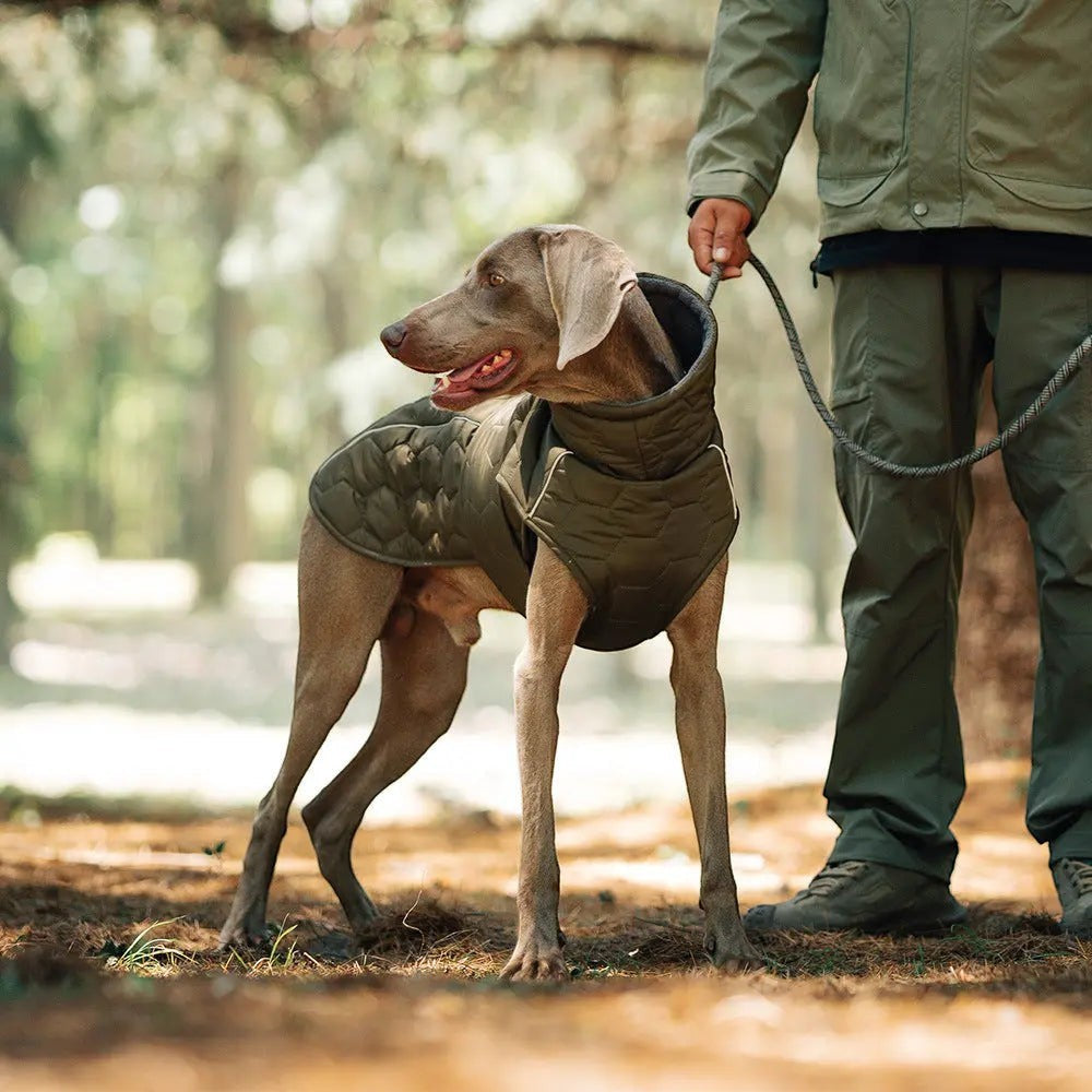 Winter Thickened Dog Jacket for Cold Weather FURRYKU