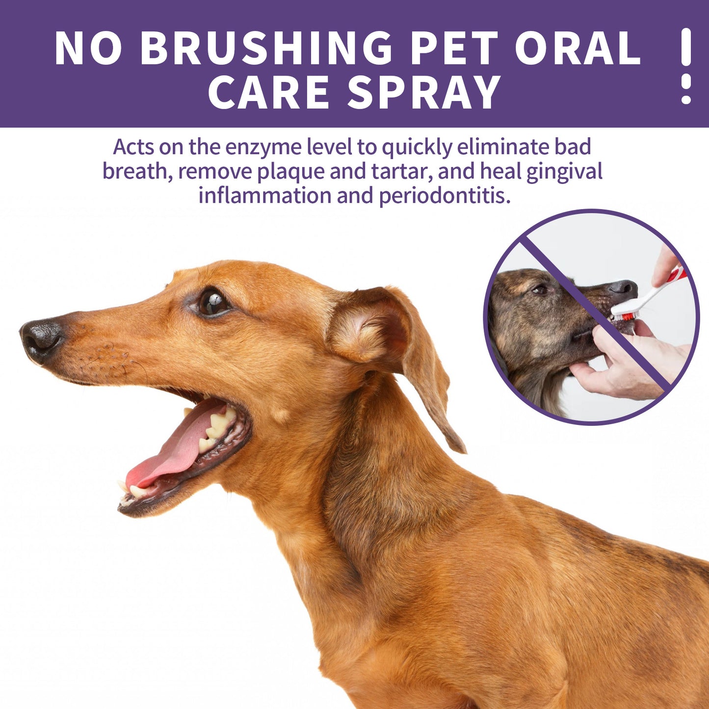 Pet Dog Teeth Cleaning Spray – Remove Tartar & Teeth Stains 🐾