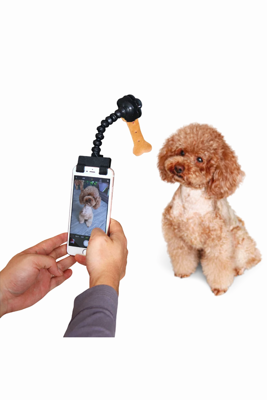 Dog Selfie Camera Treat Clip