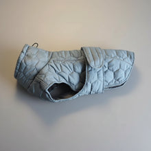 Winter Thickened Dog Jacket for Cold Weather