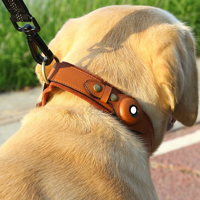 Leather Tracker Dog Collar Compatible with Apple Devices