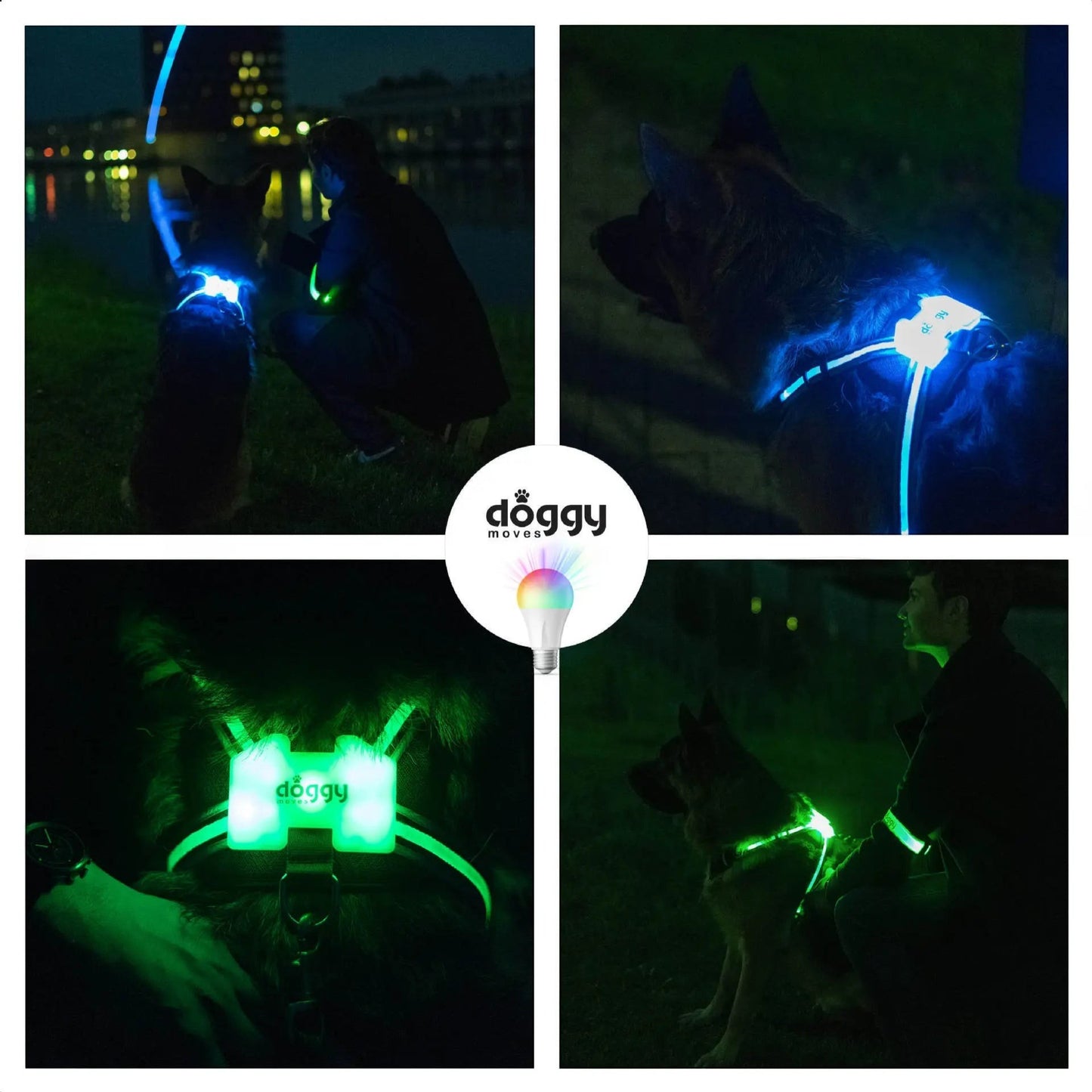LED Luminous Dog Harness – Anti-Lost & Anti-Car Accident Safety Vest FURRYKU