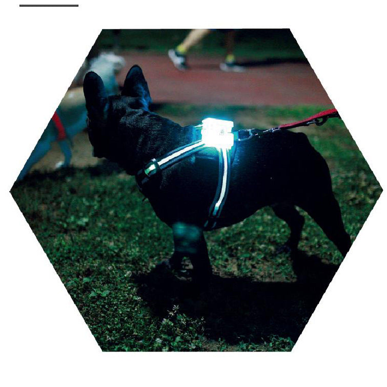 LED Luminous Dog Harness – Anti-Lost & Anti-Car Accident Safety Vest 🐾