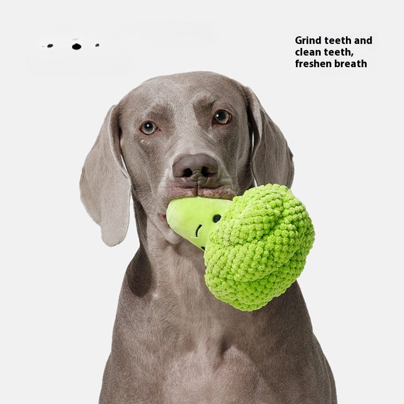 Brokkoli- und Mais-Plüschtier für Hunde – Quietschspaß beim Zähneputzen 🐾