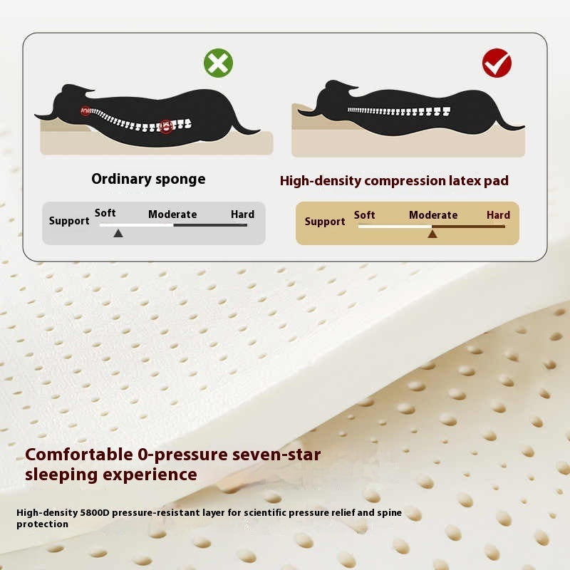 Four Seasons Universal Kennel – Warm, Tear-Resistant & Waterproof Pet Bed 🐾