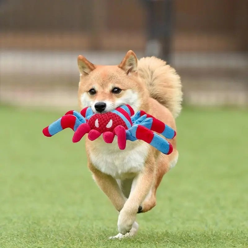 Teddy Spider Dog Toy - Bite-Resistant FURRYKU