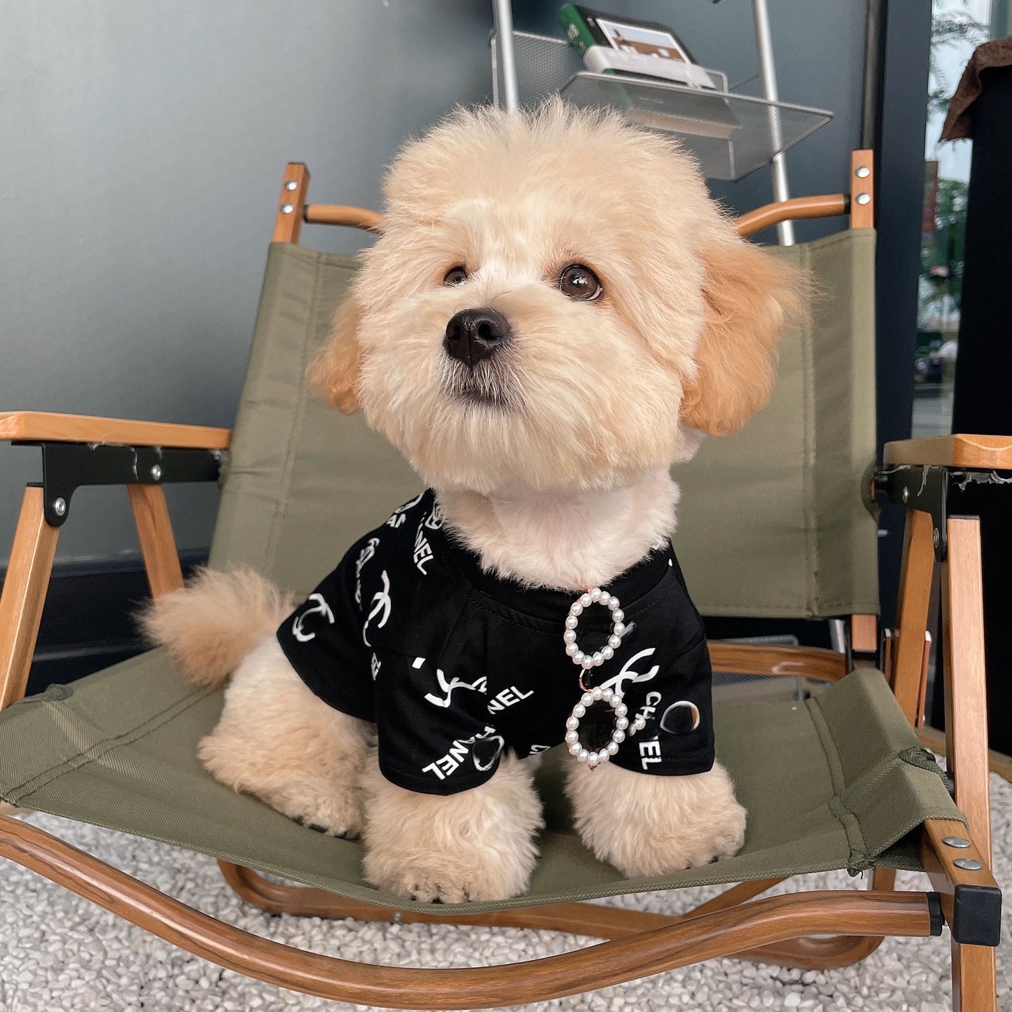 Pet Dog Fashion Pearl Sunglasses – Stylish Shades for Small & Large Dogs 🐾