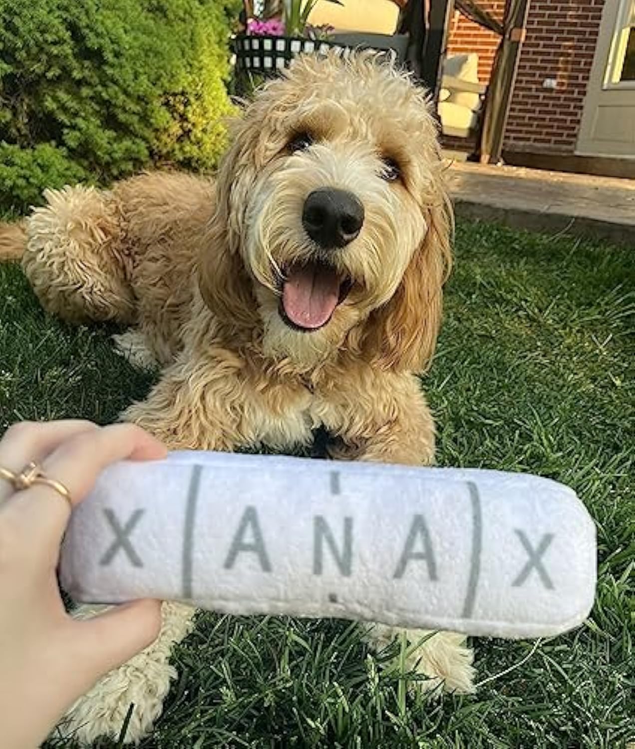Funny Dog Toy – Parody Plush Squeaky & Crinkle Toy (XANAX Plushform)🐾
