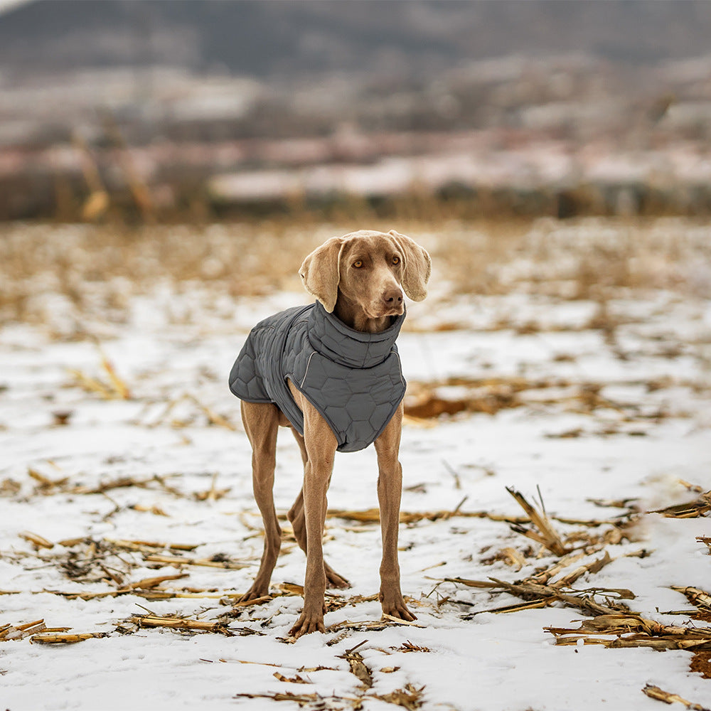 Winter Pet Clothing – Thickened Dog Jacket for Cold Weather 🐾