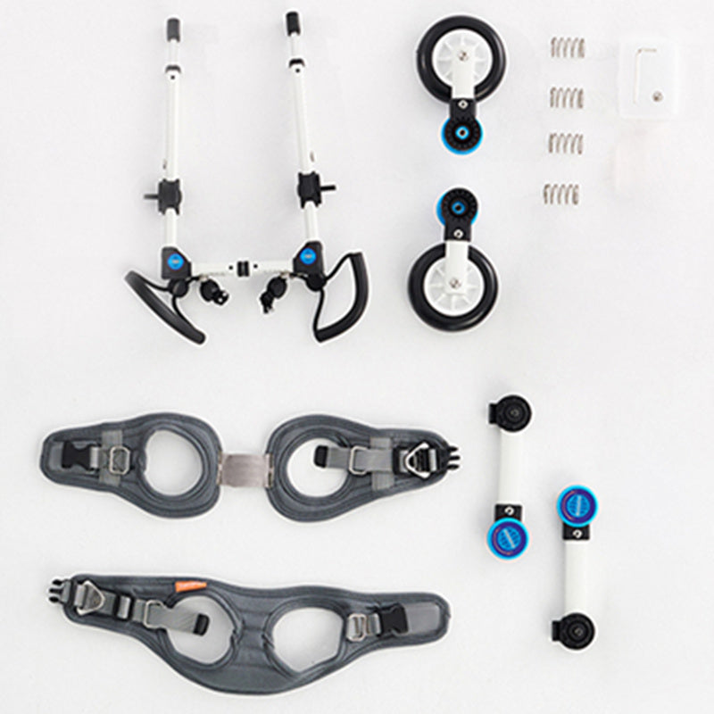 Teddy Pet Dog Hind Leg Brace – Adjustable Support Stand for Dogs 🐾