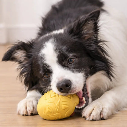 Retro Mask Squeaky Dog Toy FURRYKU