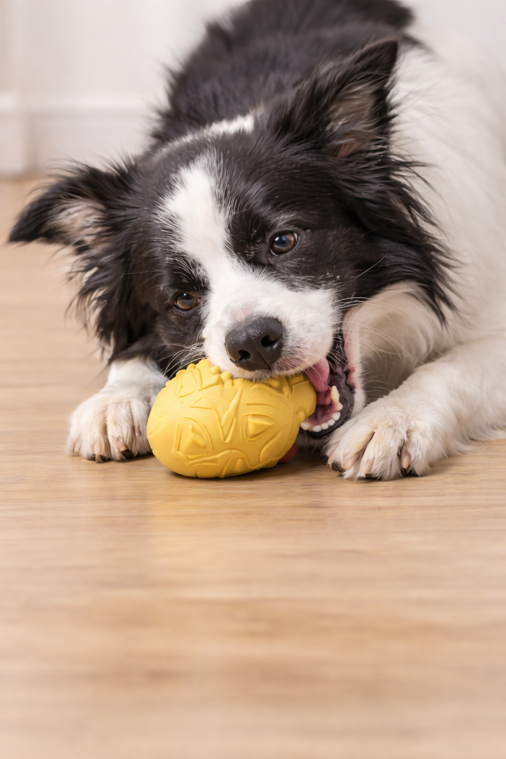 Retro Mask Squeaky Dog Toy