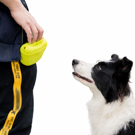 Portable Dog Treat Waist Bag – Snack & Reward Pouch for Training