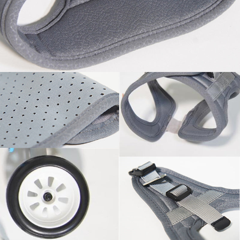 Teddy Pet Dog Hind Leg Brace – Adjustable Support Stand for Dogs 🐾