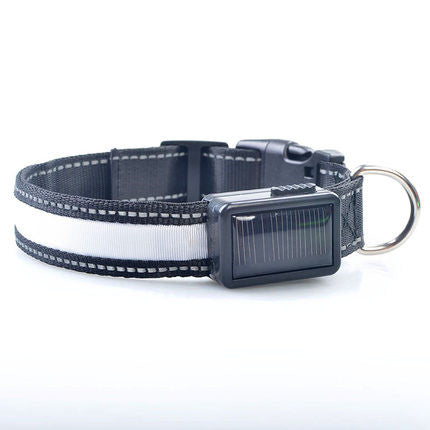 LED Solar Luminous Dog Collar – USB Rechargeable Safety Collar