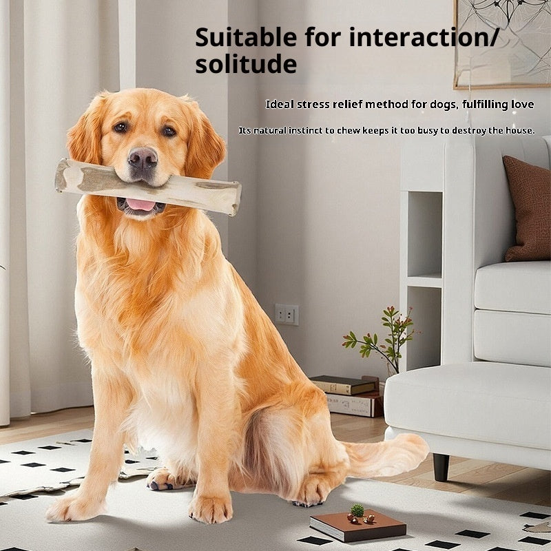 Coffee Wood Dog Chew Stick – Natural Tooth-Cleaning Chew Toy🐾