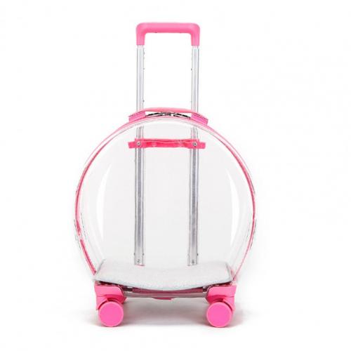 Transparent Poop Pet Dog Trolley Box – Fashion Minimalist Design 🐾